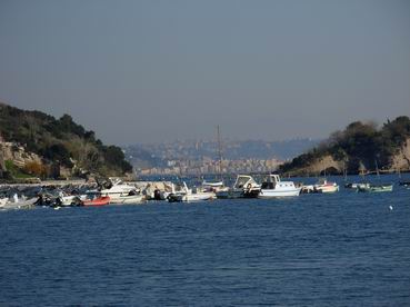DSCN9452